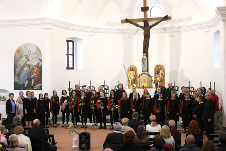 KOMORNI ZBOR FRAN GERBIČ LETNI KONCERT 71 FOTO LJUBO VUKELIČ
